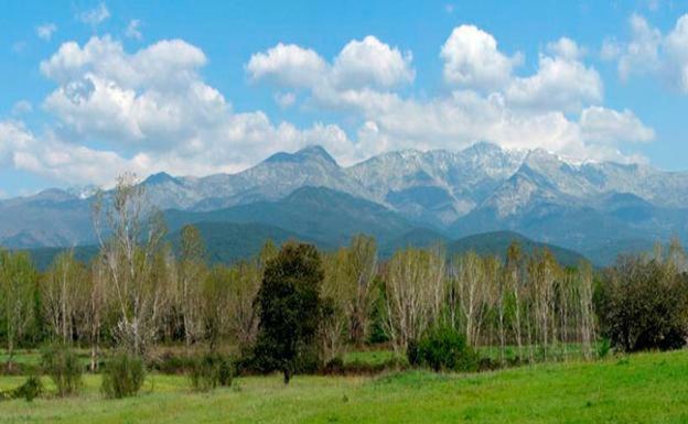 Apartamentos Fuente Arriba Poyales Del Hoyo Exteriér fotografie